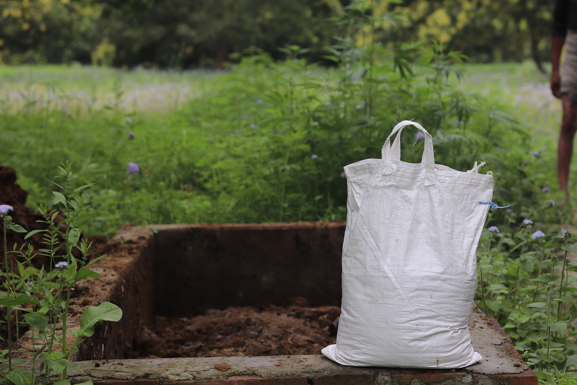 Dog Poop Compost